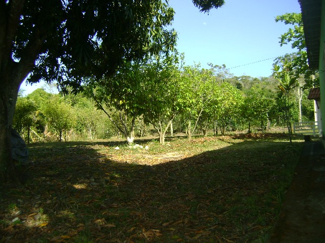 Foto 1 - Stio Criar,Plantar em tangu