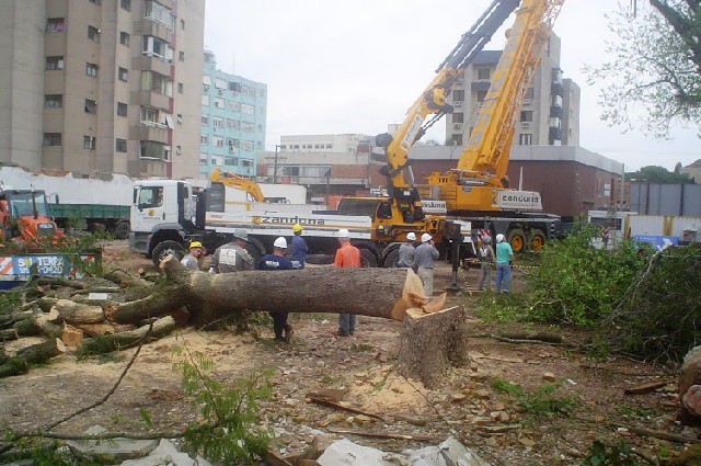 Foto 1 - Manejo corte e poda de arvores