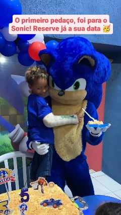 Aluguel Fantasia Sonic (personagem vivo) - SP/ABC - Serviços - Santana, São  Paulo 1065096626